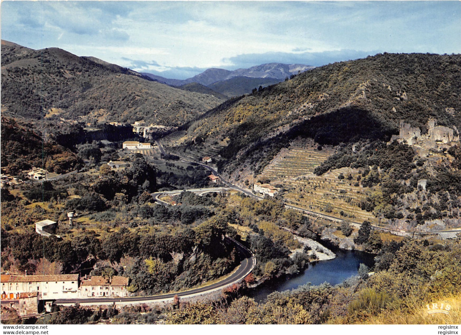 couleur horiz (1).jpg